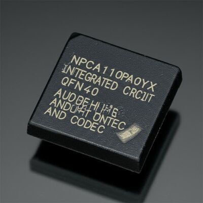 NPCA110PA0YX Integrierter Schaltkreis-Chip mit 24-Bit-Auflösung, 96 dB SNR Audio-Enhancement-Engine und CODEC mit MaxxAudio-Algorithmus